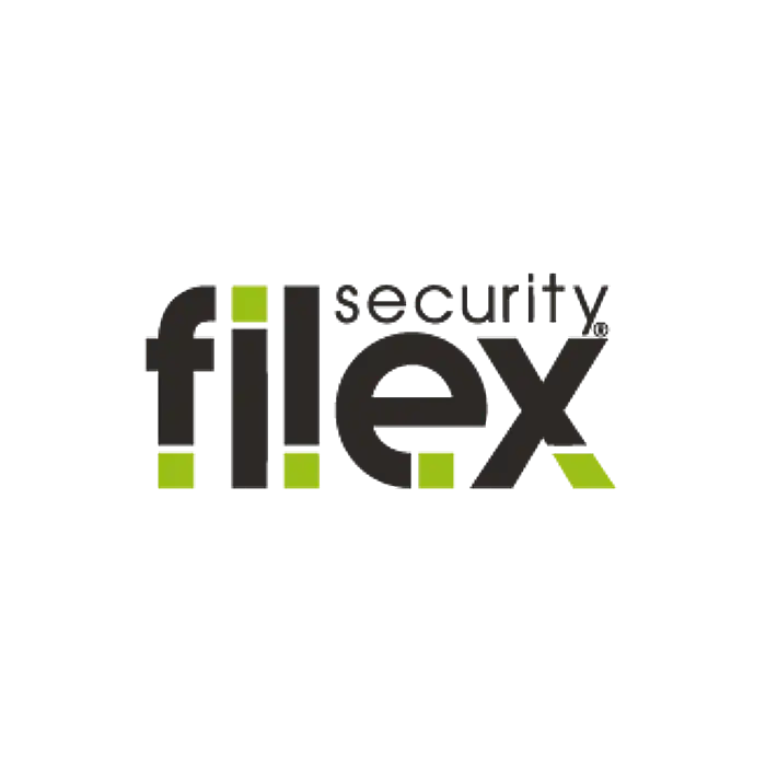 FILEX SECURITY