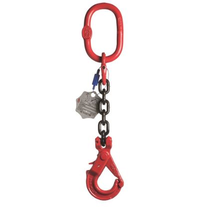 Afbeeldingen van Voorloper + veiligheidshaak Grade 80 10MM 2M