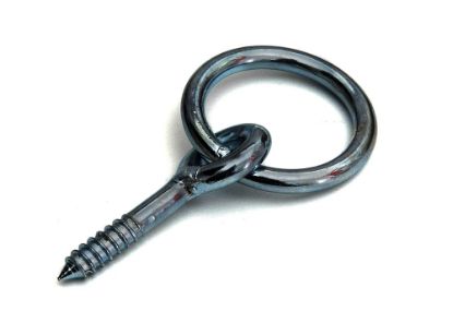 Afbeeldingen van Aanlegring houtdraad RVS316 10X100MM