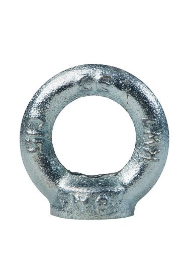 Afbeeldingen van Ringmoer DIN582 VZ materiaal C15E M24