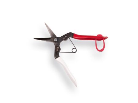 Afbeelding voor categorie Fruitscharen