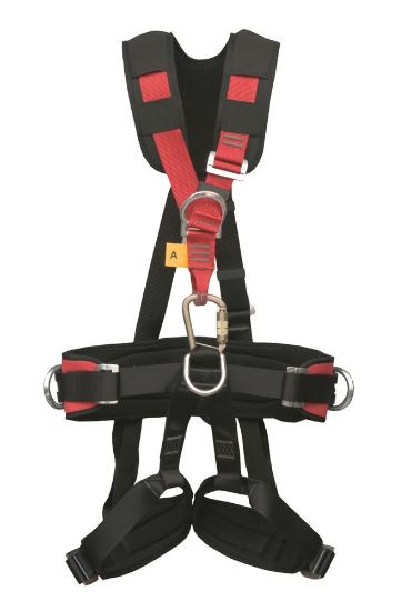 Afbeeldingen van ELLERsafe Harnasgordel elastisch P-71E S