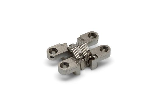 Afbeeldingen van Scharnier SOSS 203 SS RVS316 13X45MM