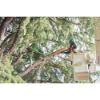 Afbeeldingen van MILWAUKEE Accu stokzaag telescopisch M18FTPS30-121 18V 30CM 12,0Ah