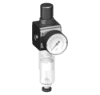 Afbeeldingen van Drukregelaar G⅛" 5µ 10bar met mano 40MM BG0