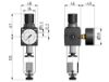 Afbeeldingen van Drukregelaar G¼" 5µ 10bar met mano 50MM BG1