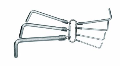 Afbeeldingen van GEDORE Stiftsleutelset S 42-07 7x