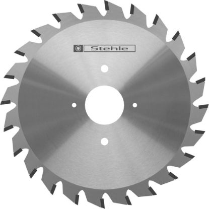 Afbeeldingen van STEHLE Cirkelzaagblad DP diamant 120X2,8-3,6X22MM Z2X12 WS