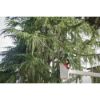 Afbeeldingen van MILWAUKEE Accu stokzaag telescopisch M18FTPS30-0 18V 30CM BODY