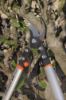 Afbeeldingen van BAHCO Takkenschaar Professioneel 45MM 900MM