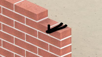 Afbeeldingen van GEBR. BODEGRAVEN Klauwduim EPZ ½ steens Ø16X45MM