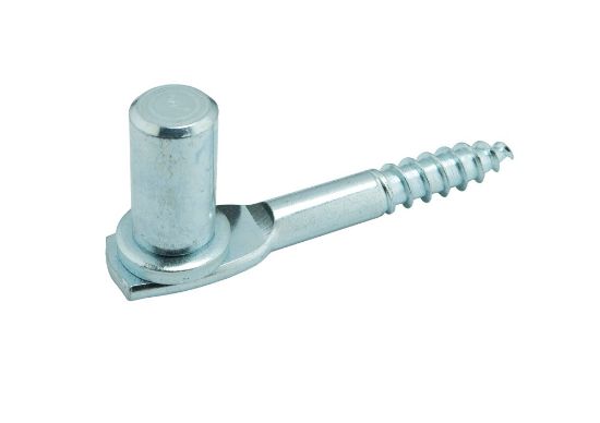 Afbeeldingen van GEBR. BODEGRAVEN Inschroefduim pen EV Ø18X35MM