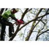Afbeeldingen van MILWAUKEE Accu snoeizaag M18FHS20-0 18V 20CM BODY