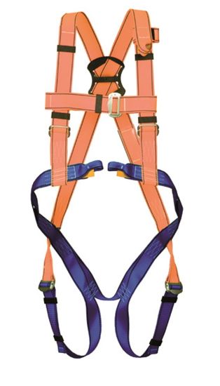 Afbeeldingen van ELLERsafe Harnasgordel verstelbare gordel P-30 S