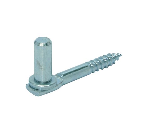 Afbeeldingen van GEBR. BODEGRAVEN Inschroefduim pen EV Ø16X43MM