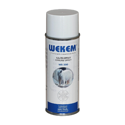 Afbeeldingen van Koelspray WS-300 400ML