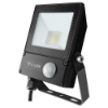 Afbeeldingen van TAB Straler 10W SMD-LED IP65 1000LM klasse I met IR- & daglichtsensor 230V