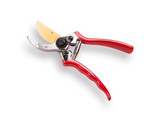 Afbeeldingen van Snoeischaar TITAN 2 professionele kwaliteit (Blad met Titanium coating)