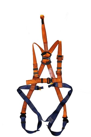 Afbeeldingen van ELLERsafe Harnasgordel met snelsluitingen P-30C S