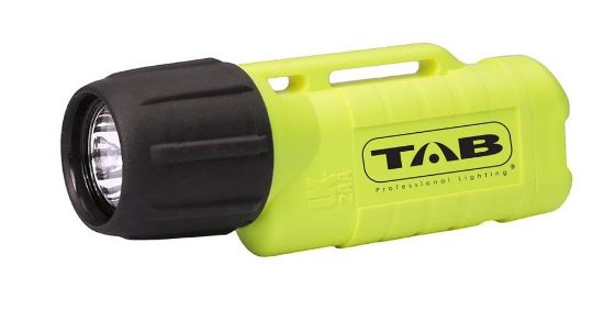 Afbeeldingen van TAB Zaklamp LED IP6X 70LM ATEX zone 1 incl. batterijen