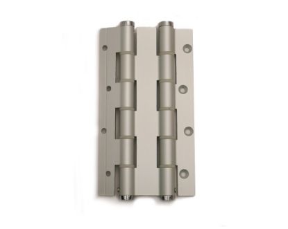 Afbeeldingen van Deurveerscharnier dubbel ALU zilver 180/30MM