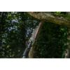Afbeeldingen van MILWAUKEE Accu stokzaag telescopisch M18FTPS30-0 18V 30CM BODY