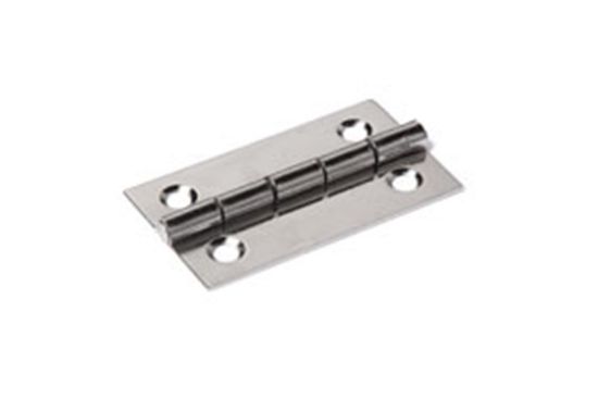 Afbeeldingen van Smalscharnier recht RVS + vaste pen 30X20MM