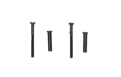 Afbeeldingen van AMI Patentboutset zwart M4X38 bestaande uit 2x schroef & 2x huls