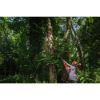 Afbeeldingen van MILWAUKEE Accu stokzaag telescopisch M18FTPS30-0 18V 30CM BODY