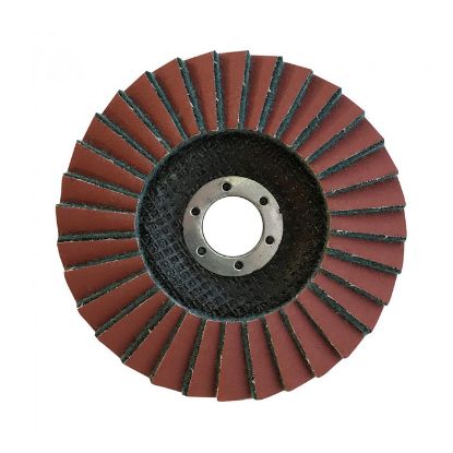 Afbeeldingen van GLOBE Lamellenschijf G6031 125X22,2MM Coarse