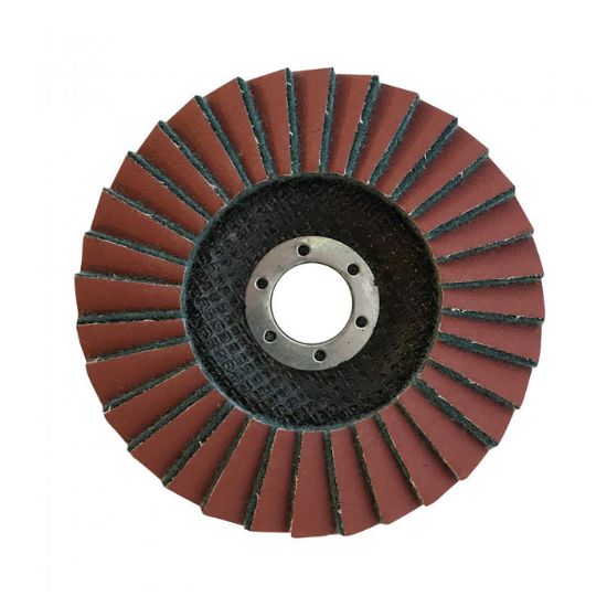 Afbeeldingen van GLOBE Lamellenschijf G6031 125X22,2MM Coarse