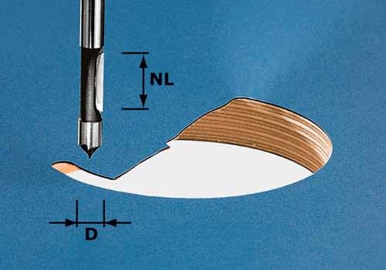 Afbeeldingen van FESTOOL Boorfrees HW schacht 8MM HW 8X19MM