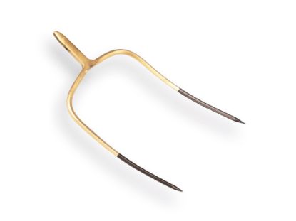 Afbeeldingen van Balenvork/grasvork 2 tanden zonder steel