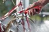 Afbeeldingen van Schroevendraaier met bitmagazijn LiftUp 25 38