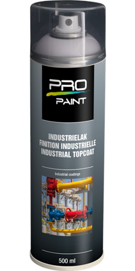 Afbeeldingen van PRO-PAINT Industrie lak / deklaag zilvergrijs RAL7001 HG 500ML