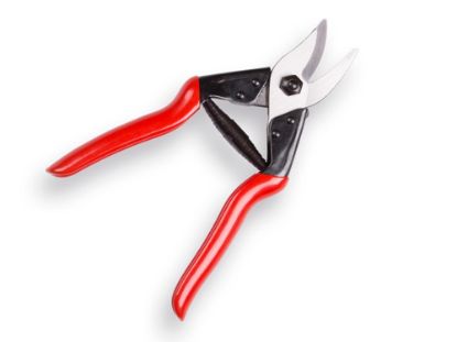 Afbeeldingen van Schaar universeel CP kegelvormig