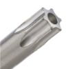 Afbeeldingen van ROTEC Schroefbit ¼" PRO C6,3 tamper-resistant BASIC STX 25MM 2x