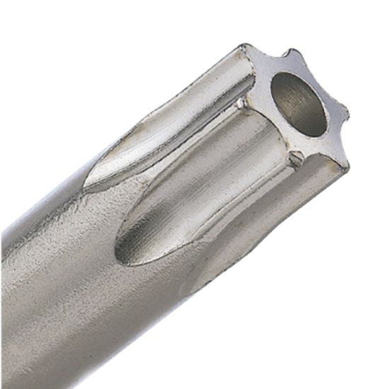 Afbeeldingen van ROTEC Schroefbit ¼" PRO C6,3 tamper-resistant BASIC STX 25MM 10x