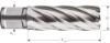 Afbeeldingen van ROTEC Kernboor HSS SILVER WELDON 19 55MM