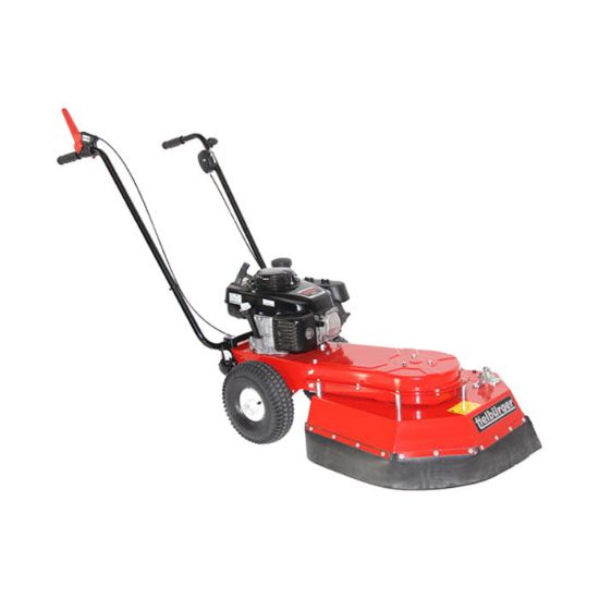Afbeeldingen van TIELBÜRGER Onkruidborstelmachine TW50S Honda GXV160