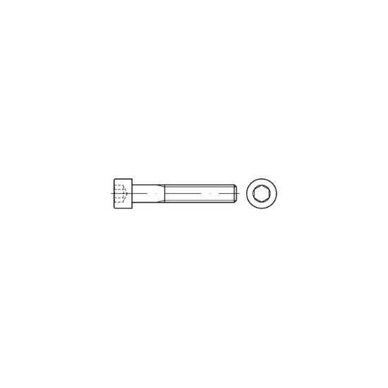 Afbeeldingen van Inbusbout cilinderkop DIN912 ZF M10X60MM