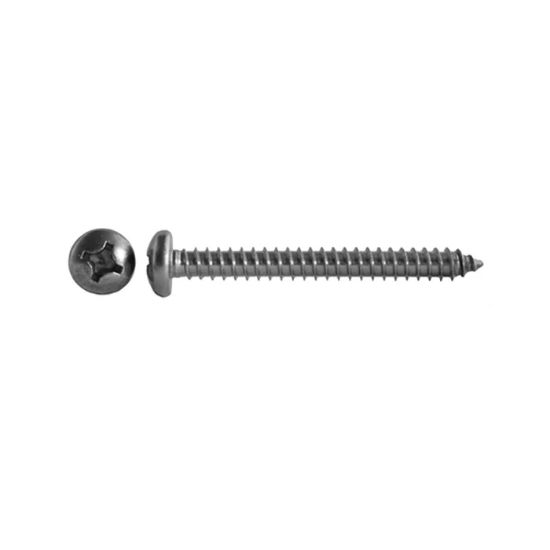Afbeeldingen van Zelftappende plaatschroef pancilinderkop PH DIN7981 RVS A4 4,8X25MM