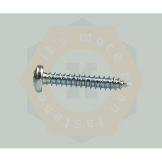 Afbeeldingen van Plaatschroef pan CK TORX DIN7981 A2 4,8X38MM