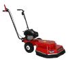 Afbeeldingen van TIELBÜRGER Onkruidborstelmachine TW50 Honda GCV170